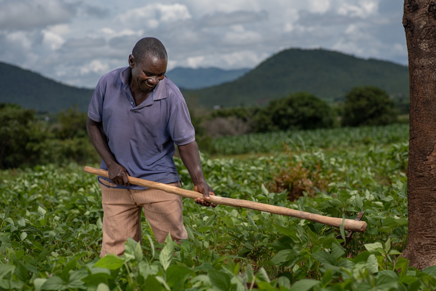 Innovative Agricultural Techniques For Local Farmers