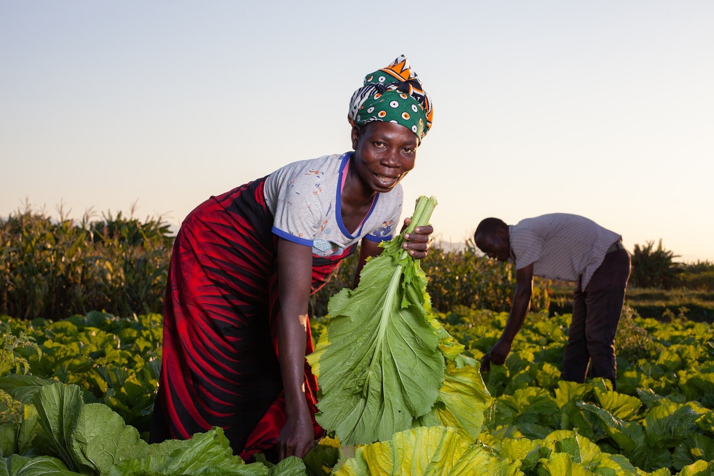 Improving Water Sanitation In North Kivu