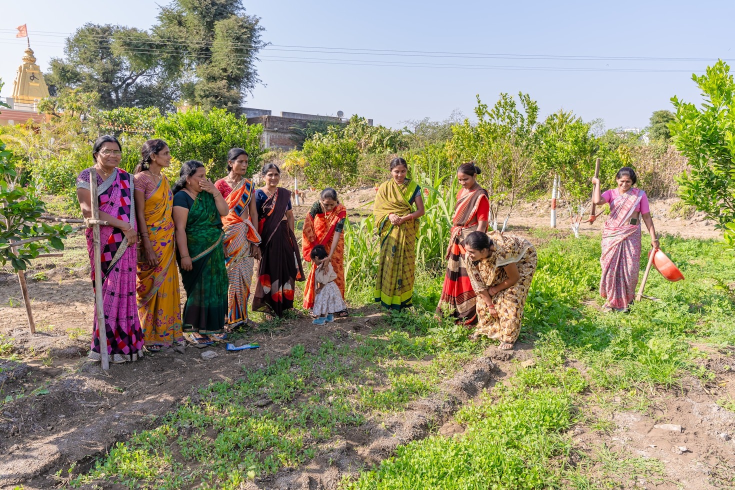 Supporting Displaced Families Through Sustainable Programs