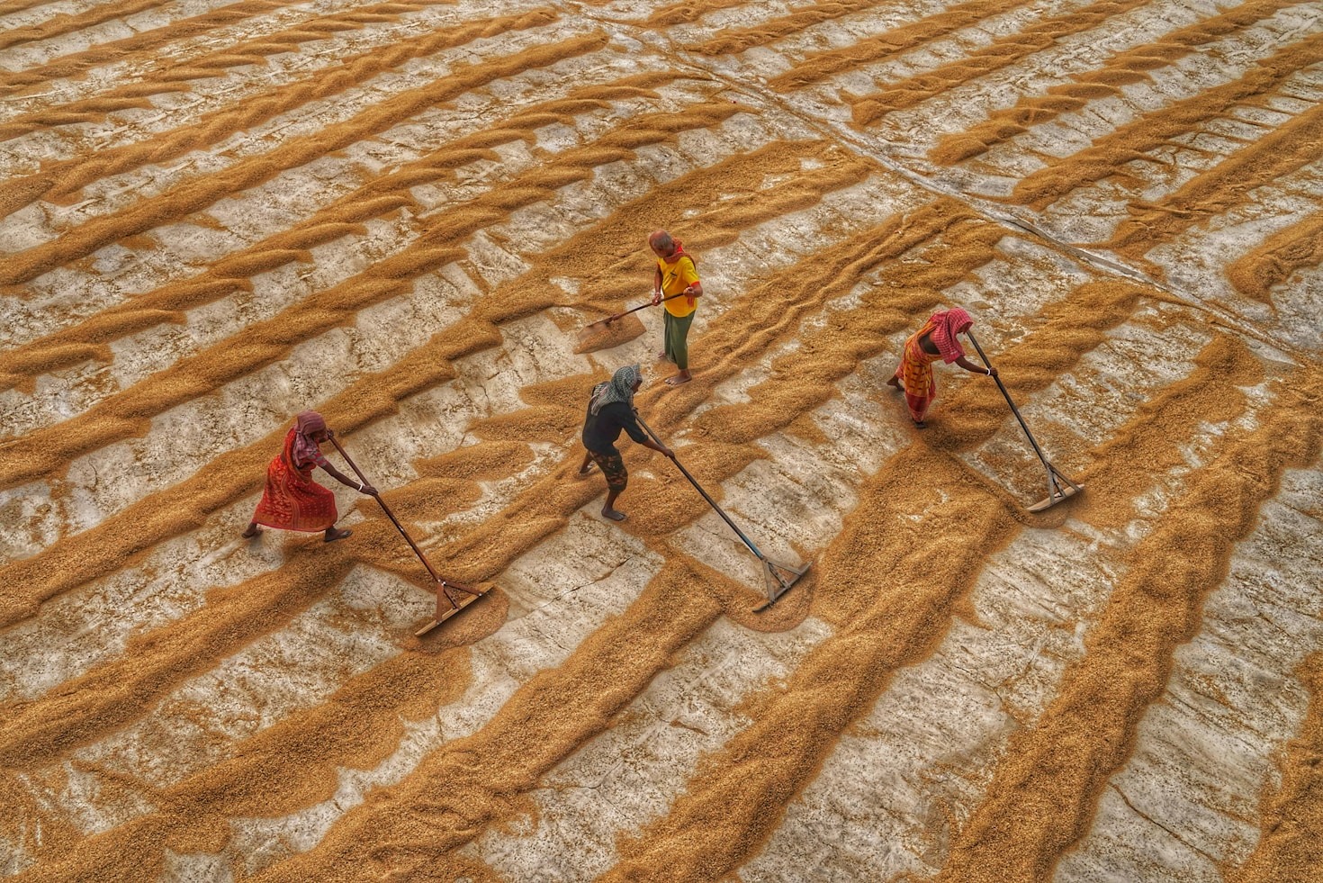 Combating Food Insecurity In South Kivu